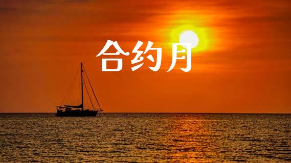 合约月_https://cj006.lansai.wang_期货开户_第1张