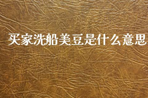 买家洗船美豆是什么意思_https://cj006.lansai.wang_金融监管_第1张