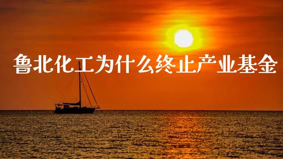 鲁北化工为什么终止产业基金_https://cj006.lansai.wang_外汇交易_第1张
