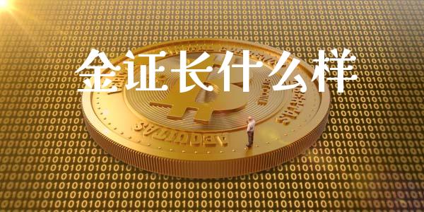 金证长什么样_https://cj006.lansai.wang_外汇交易_第1张