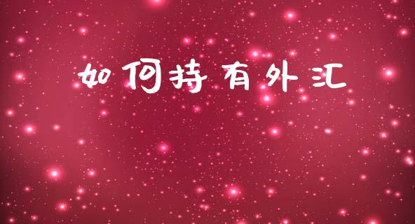 如何持有外汇_https://cj006.lansai.wang_财经新闻_第1张