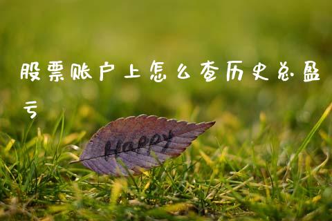 股票账户上怎么查历史总盈亏_https://cj006.lansai.wang_财经新闻_第1张