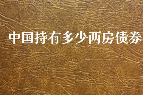 中国持有多少两房债券_https://cj006.lansai.wang_债券资讯_第1张