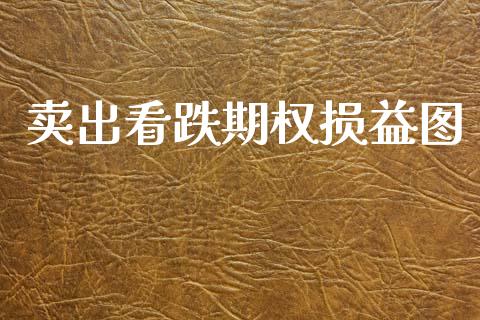 卖出看跌期权损益图_https://cj006.lansai.wang_期货开户_第1张
