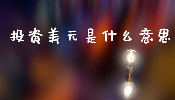 投资美元是什么意思_https://cj006.lansai.wang_期货开户_第1张