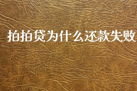 拍拍贷为什么还款失败_https://cj006.lansai.wang_外汇交易_第1张