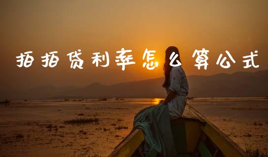 拍拍贷利率怎么算公式_https://cj006.lansai.wang_债券资讯_第1张