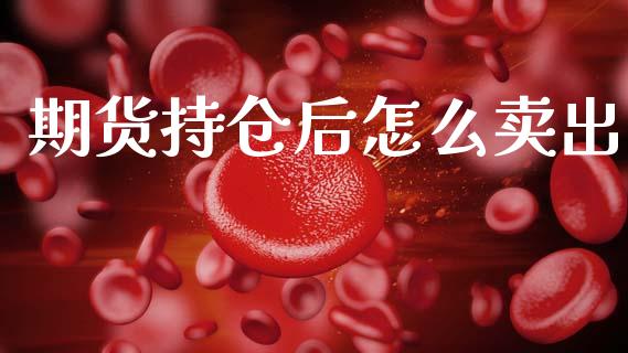 期货持仓后怎么卖出_https://cj006.lansai.wang_金融监管_第1张