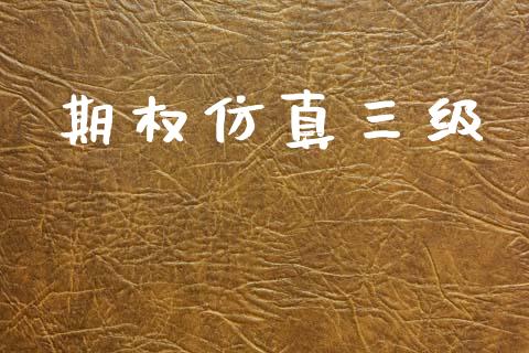 期权仿真三级_https://cj006.lansai.wang_金融监管_第1张