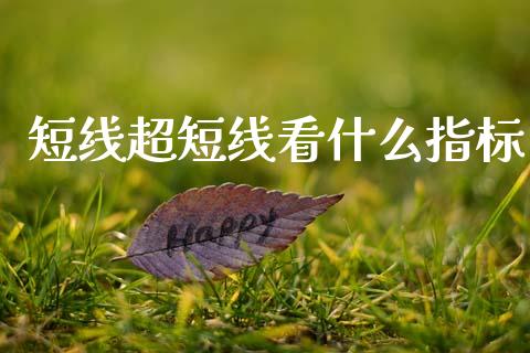 短线超短线看什么指标_https://cj006.lansai.wang_全球市场_第1张