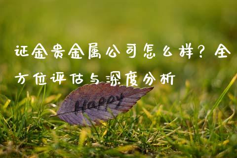 证金贵金属公司怎么样？全方位评估与深度分析_https://cj006.lansai.wang_期货开户_第1张