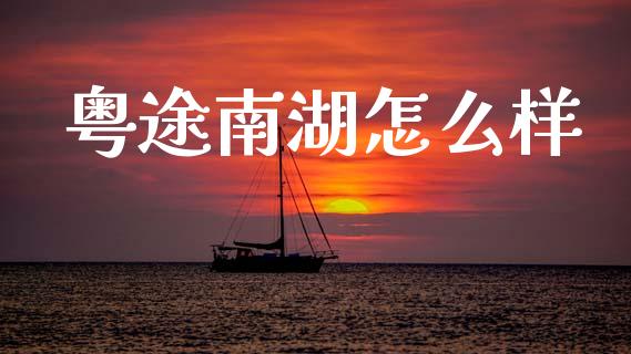 粤途南湖怎么样_https://cj006.lansai.wang_债券资讯_第1张