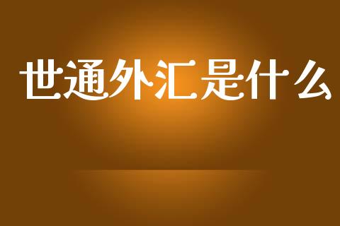 世通外汇是什么_https://cj006.lansai.wang_外汇交易_第1张