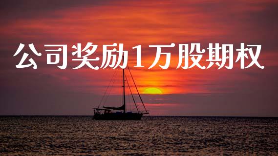公司奖励1万股期权_https://cj006.lansai.wang_财经新闻_第1张