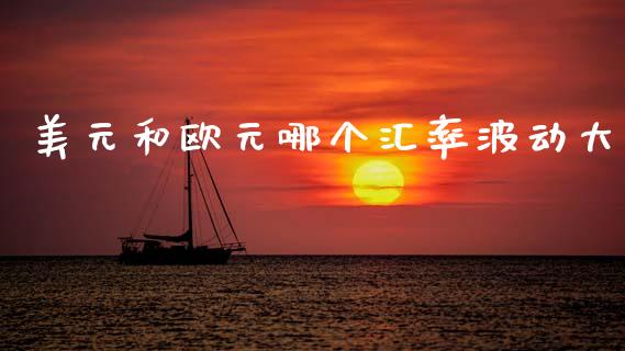 美元和欧元哪个汇率波动大_https://cj006.lansai.wang_金融监管_第1张