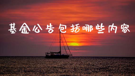 基金公告包括哪些内容_https://cj006.lansai.wang_外汇交易_第1张