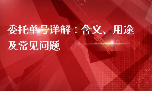 委托单号详解：含义、用途及常见问题_https://cj006.lansai.wang_金融监管_第1张