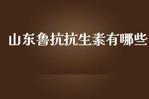 山东鲁抗抗生素有哪些_https://cj006.lansai.wang_期货开户_第1张