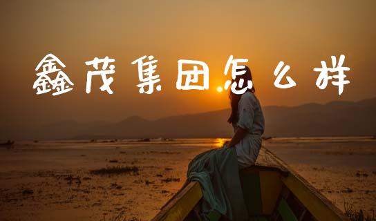 鑫茂集团怎么样_https://cj006.lansai.wang_财经新闻_第1张