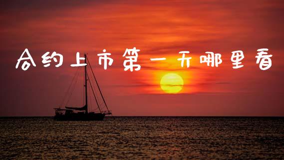 合约上市第一天哪里看_https://cj006.lansai.wang_财经新闻_第1张
