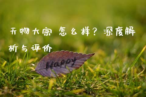 天物大宗 怎么样？深度解析与评价_https://cj006.lansai.wang_债券资讯_第1张
