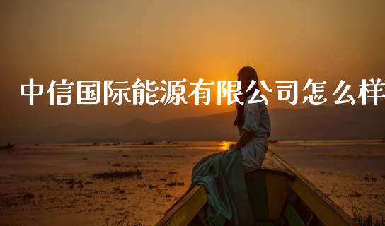 中信国际能源有限公司怎么样_https://cj006.lansai.wang_外汇交易_第1张
