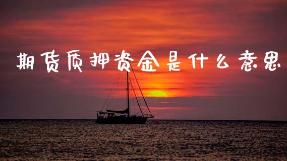 期货质押资金是什么意思_https://cj006.lansai.wang_全球市场_第1张