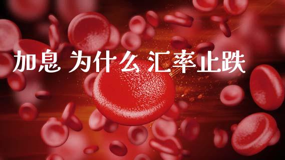 加息 为什么 汇率止跌_https://cj006.lansai.wang_财经新闻_第1张