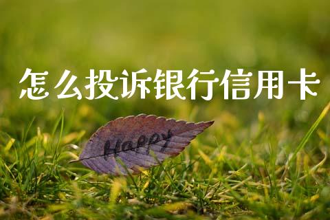 怎么投诉银行信用卡_https://cj006.lansai.wang_外汇交易_第1张