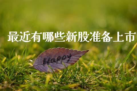 最近有哪些新股准备上市_https://cj006.lansai.wang_财经新闻_第1张
