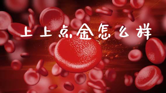 上上点金怎么样_https://cj006.lansai.wang_金融监管_第1张