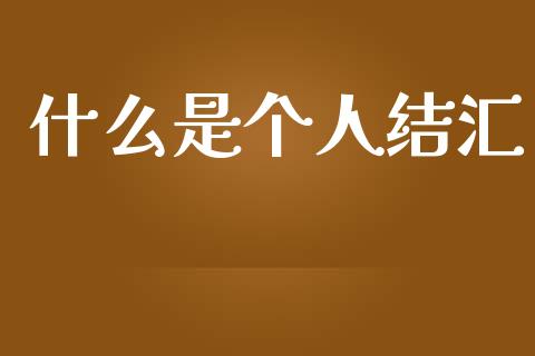 什么是个人结汇_https://cj006.lansai.wang_全球市场_第1张