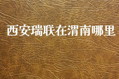 西安瑞联在渭南哪里_https://cj006.lansai.wang_期货开户_第1张
