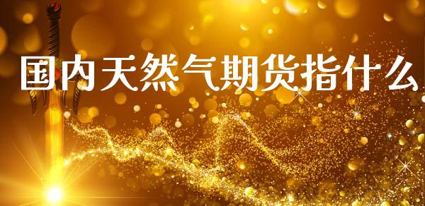 国内天然气期货指什么_https://cj006.lansai.wang_外汇交易_第1张