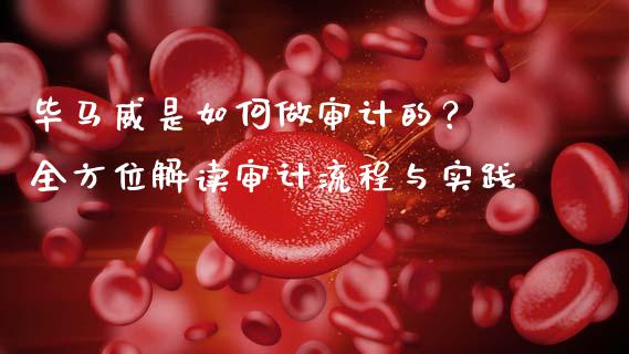 毕马威是如何做审计的？ 全方位解读审计流程与实践_https://cj006.lansai.wang_财经新闻_第1张