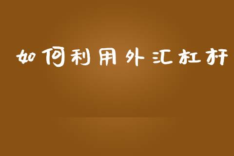 如何利用外汇杠杆_https://cj006.lansai.wang_外汇交易_第1张