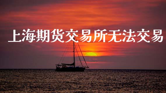 上海期货交易所无法交易_https://cj006.lansai.wang_期货开户_第1张
