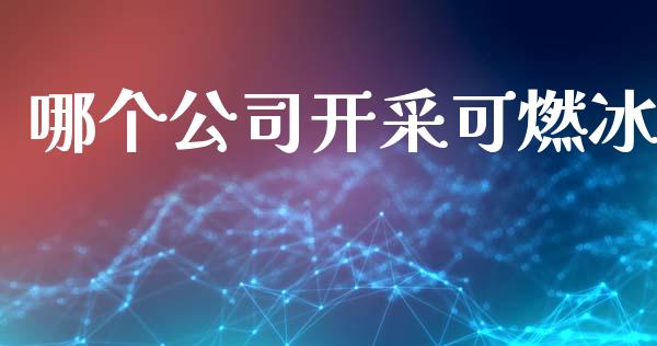 哪个公司开采可燃冰_https://cj006.lansai.wang_债券资讯_第1张
