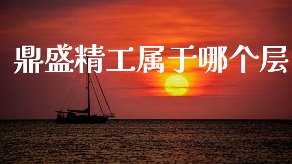 鼎盛精工属于哪个层_https://cj006.lansai.wang_债券资讯_第1张