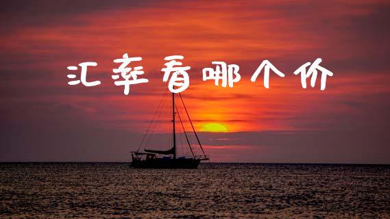 汇率看哪个价_https://cj006.lansai.wang_全球市场_第1张