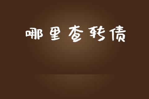 哪里查转债_https://cj006.lansai.wang_金融监管_第1张