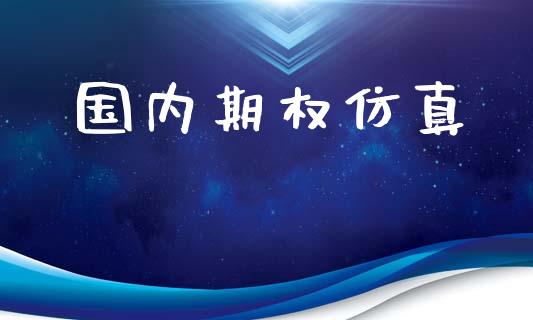 国内期权仿真_https://cj006.lansai.wang_金融监管_第1张