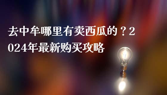 去中牟哪里有卖西瓜的?2024年最新购买攻略_金融监管_第1张_期货开户_金融监管_外汇交易_债券资讯_全球市场_财经新闻 去中牟哪里有卖西瓜的?2024年最新购买攻略_https://cj006.lansai.wang_金融监管_第1张