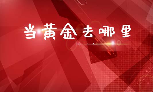当黄金去哪里_https://cj006.lansai.wang_外汇交易_第1张