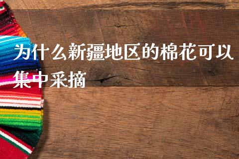 为什么新疆地区的棉花可以集中采摘_https://cj006.lansai.wang_全球市场_第1张