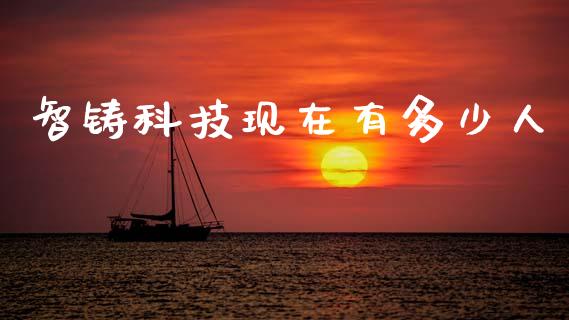 智铸科技现在有多少人_https://cj006.lansai.wang_金融监管_第1张