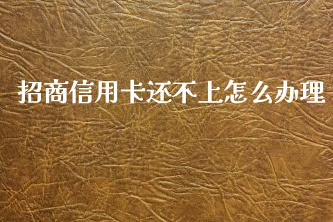 招商信用卡还不上怎么办理_https://cj006.lansai.wang_债券资讯_第1张