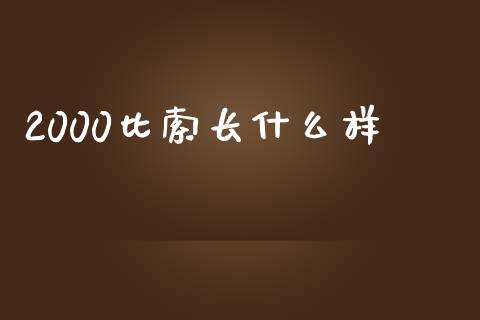 2000比索长什么样_https://cj006.lansai.wang_债券资讯_第1张