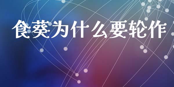 食葵为什么要轮作_https://cj006.lansai.wang_期货开户_第1张