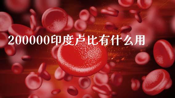 200000印度卢比有什么用_https://cj006.lansai.wang_金融监管_第1张